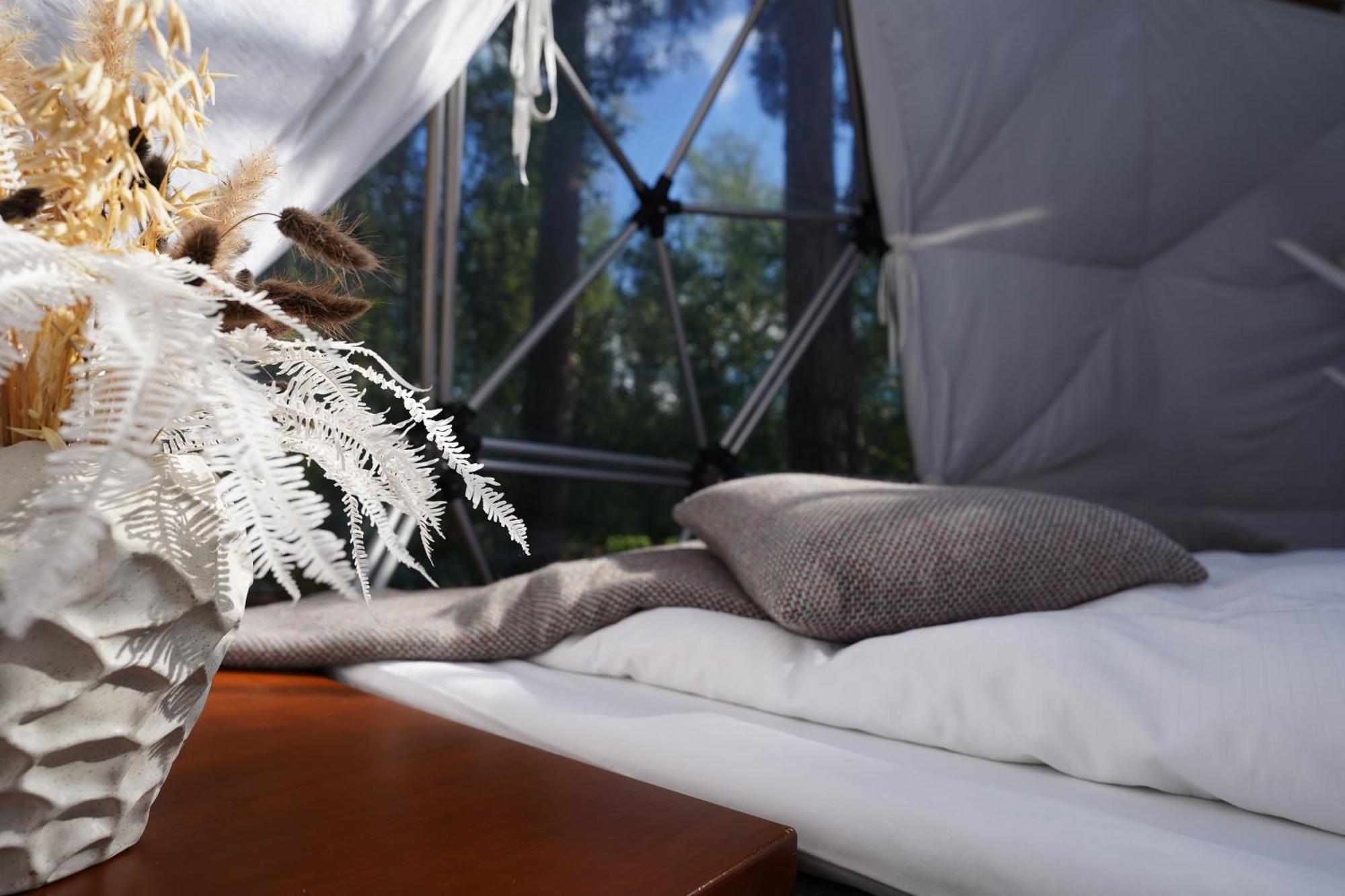Glod Aurora Canvas Dome Alta Ngoại thất bức ảnh
