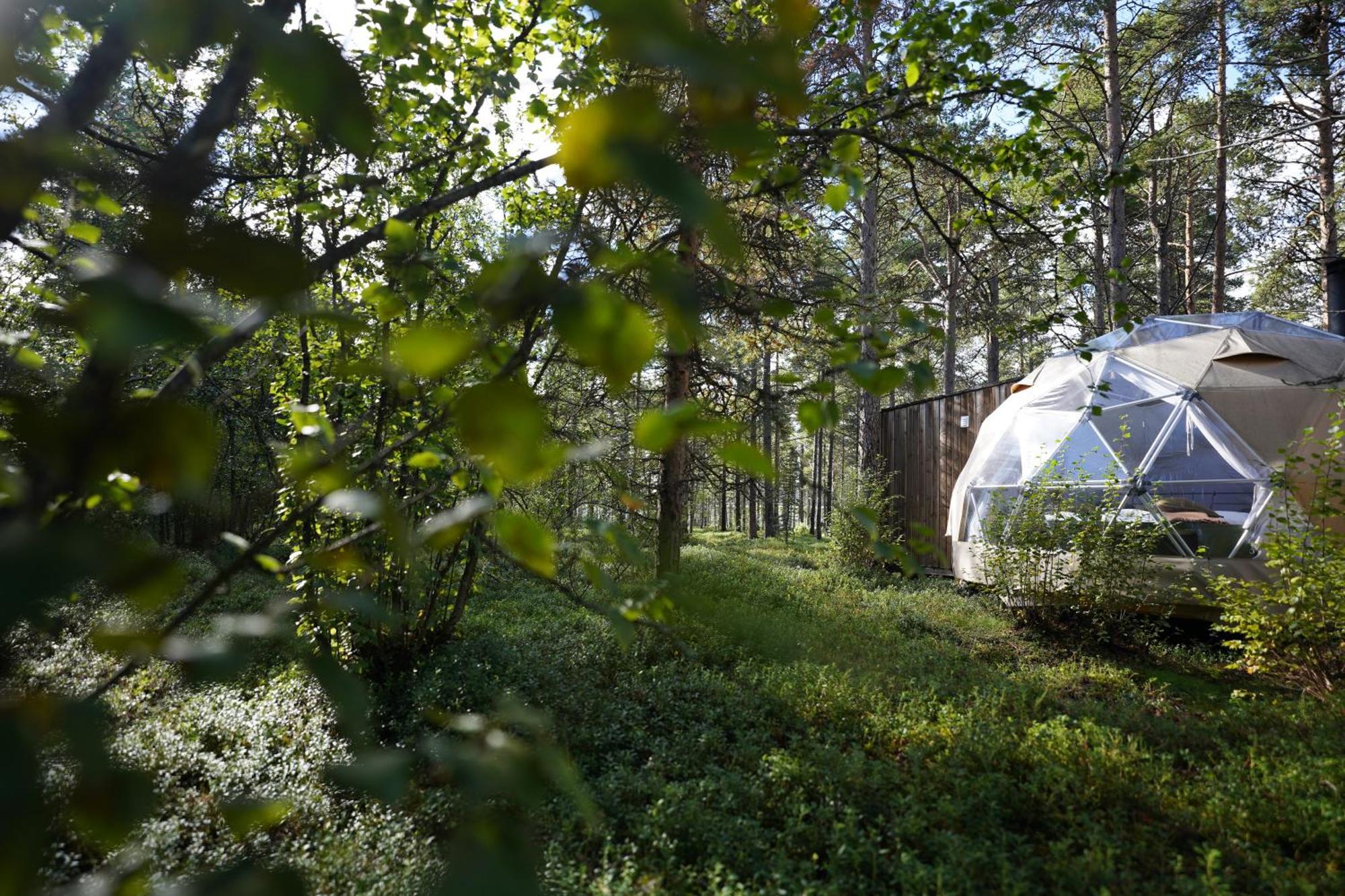 Glod Aurora Canvas Dome Alta Ngoại thất bức ảnh