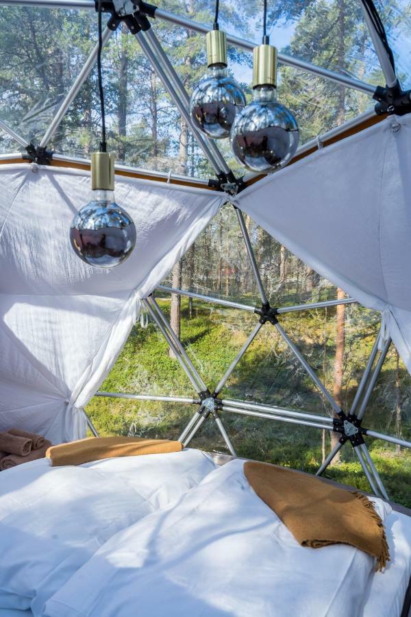 Glod Aurora Canvas Dome Alta Ngoại thất bức ảnh